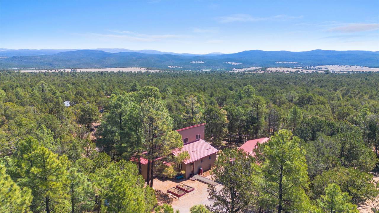 46 Blue Jay Way - Photo 1