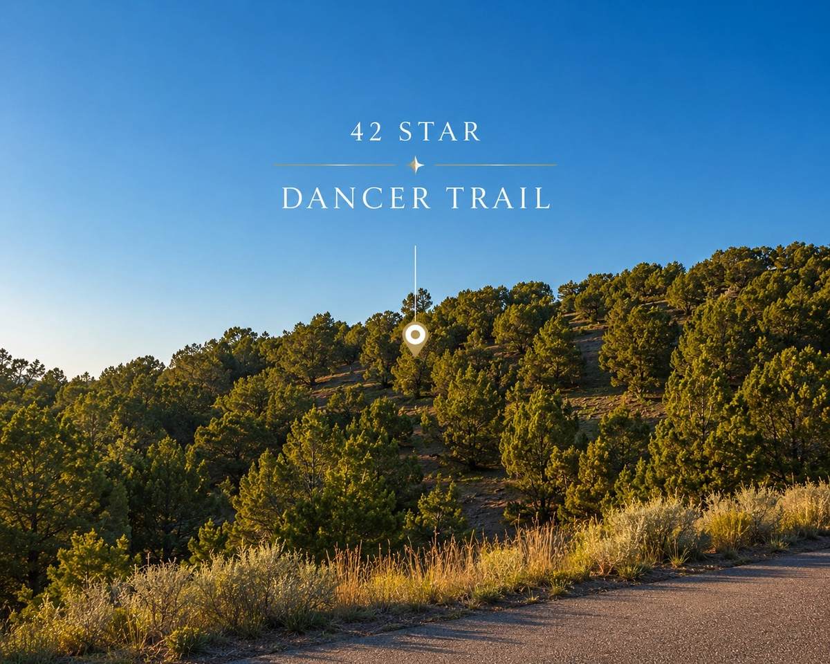 42 Star Dancer - Photo 1