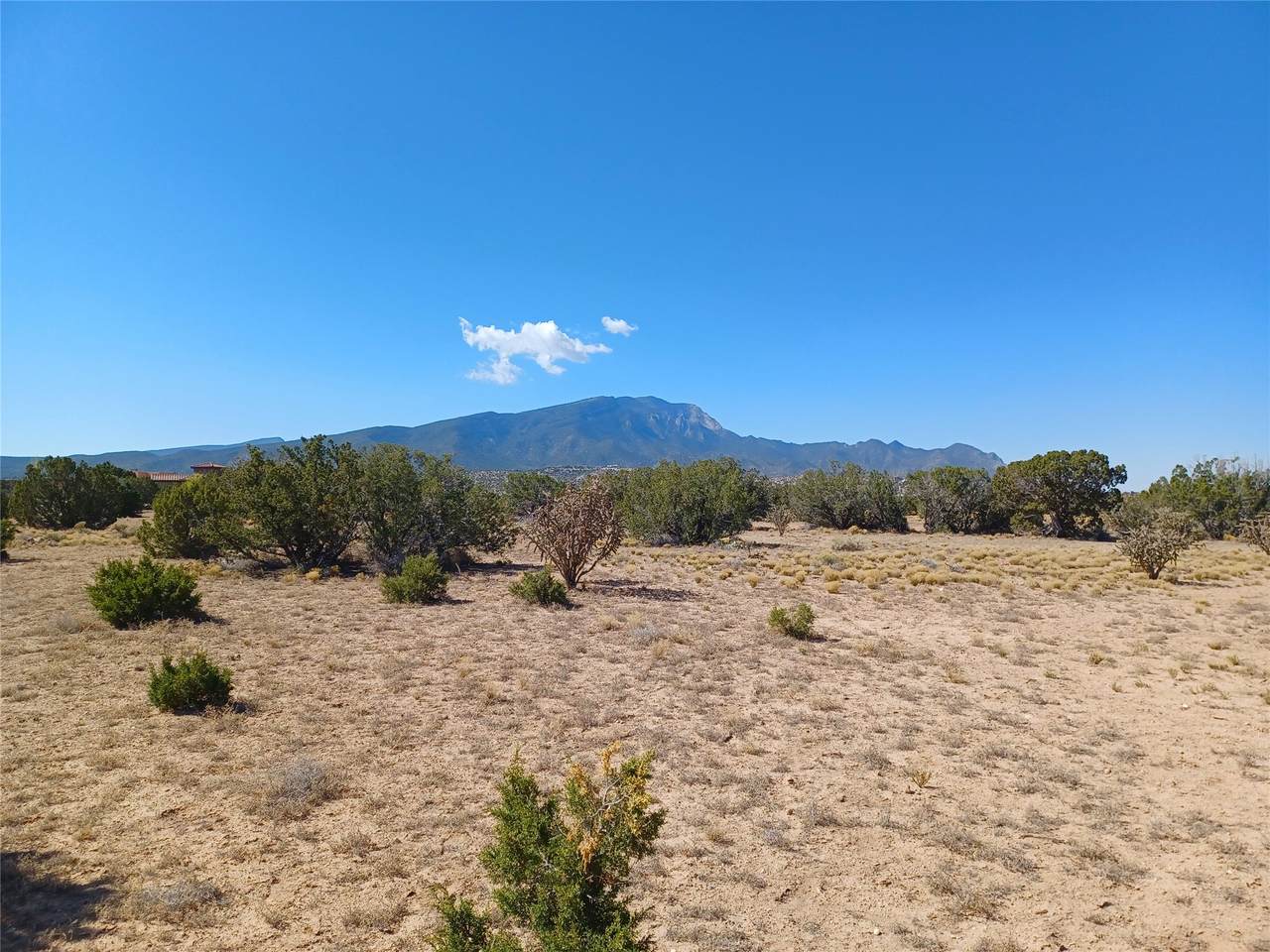 TBD lot 26 Palomino Road - Photo 1