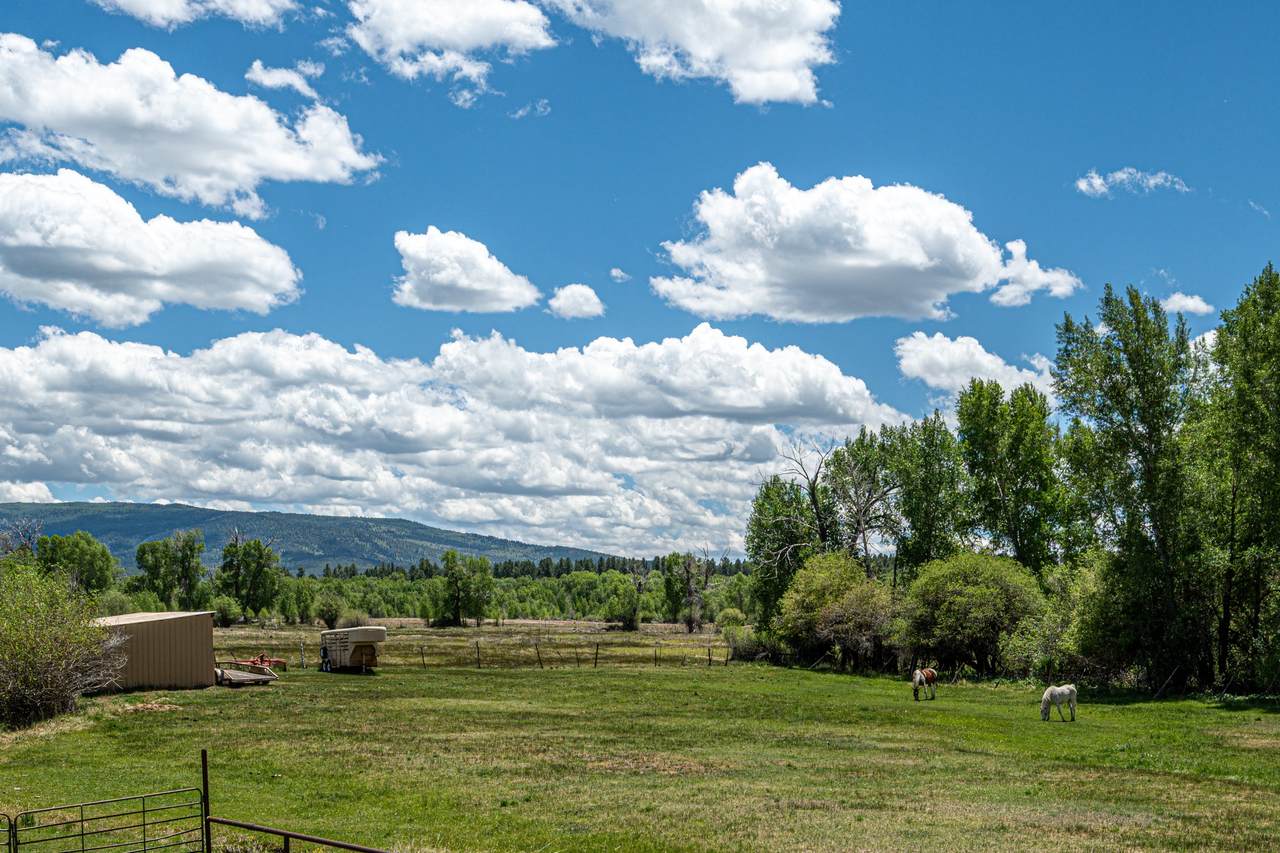 17091 B Us  Hwy 84/64 - Photo 1