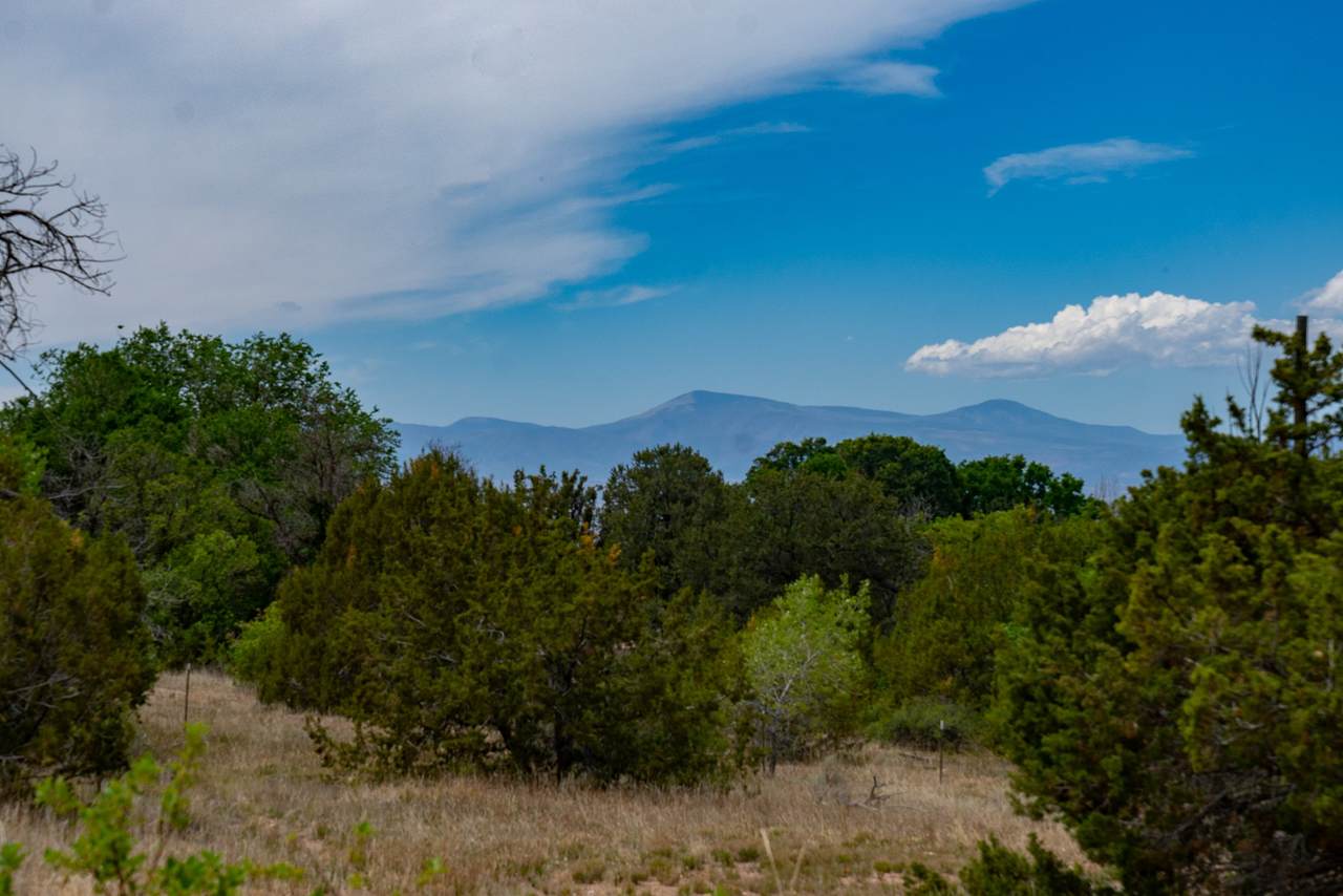 https://bt-photos.global.ssl.fastly.net/santafe/1280_boomver_1_202602535-2.jpg