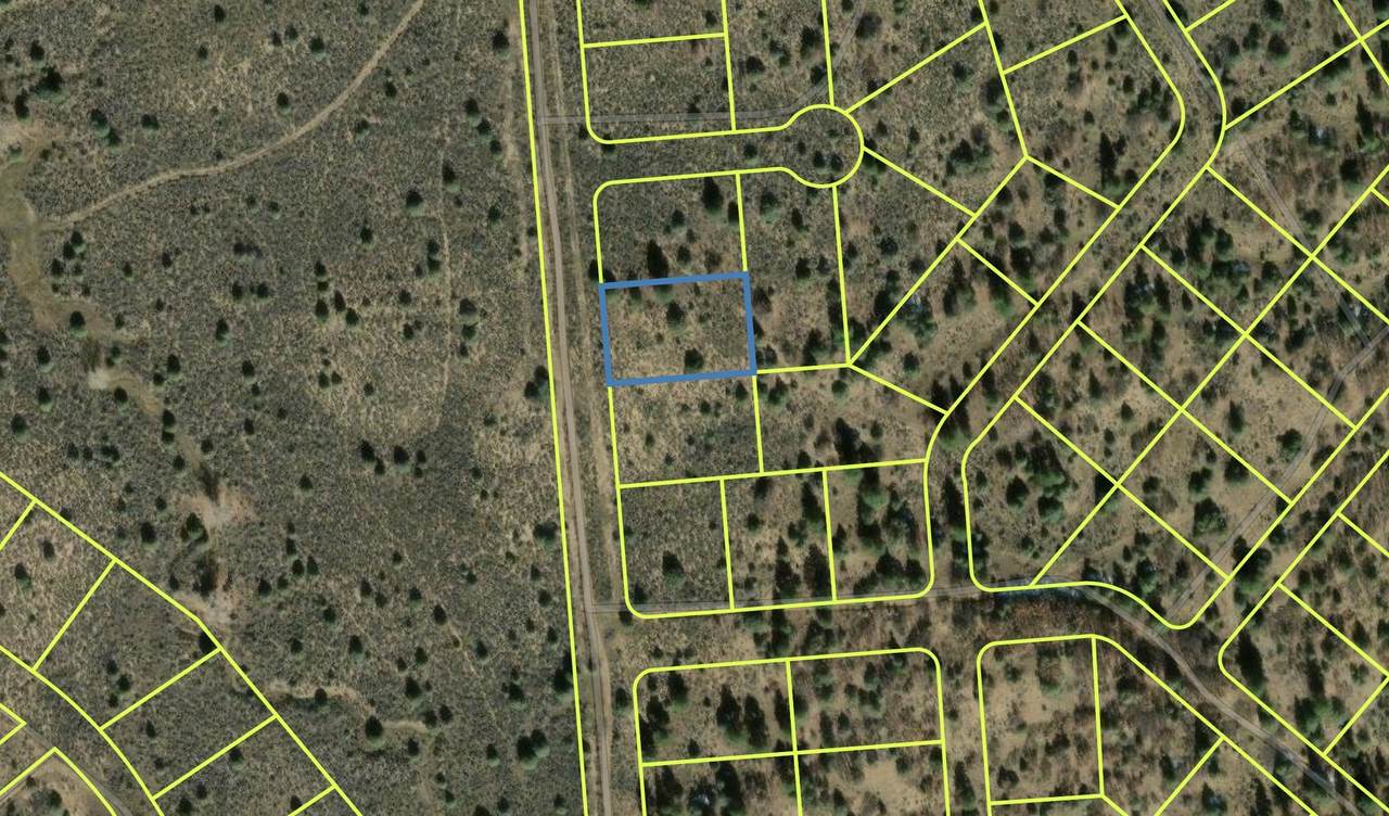 TBD .50 ACRE Tierra Amarilla - Photo 1