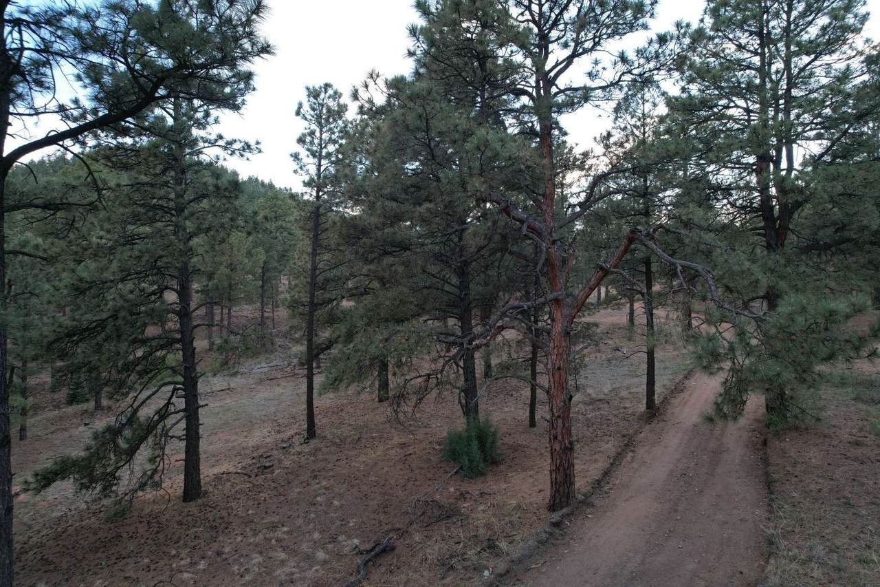 https://bt-photos.global.ssl.fastly.net/santafe/1280_boomver_1_202602763-2.jpg