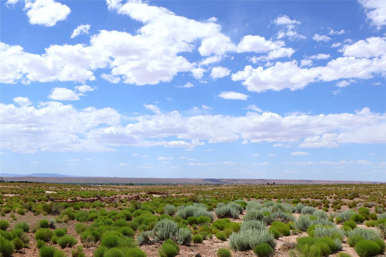 Lot 3 Rio Grande Estates - Photo 1
