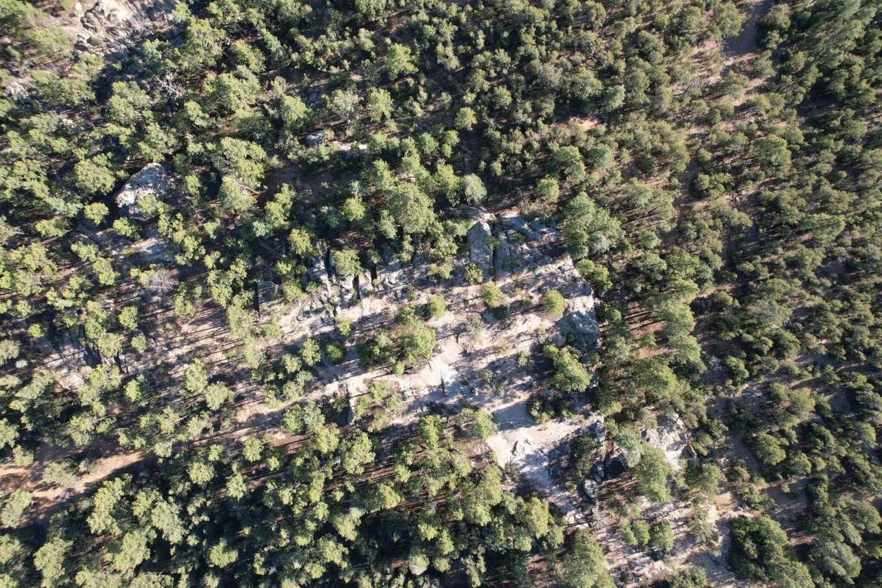 0 Pinon Ridge Road - Photo 1