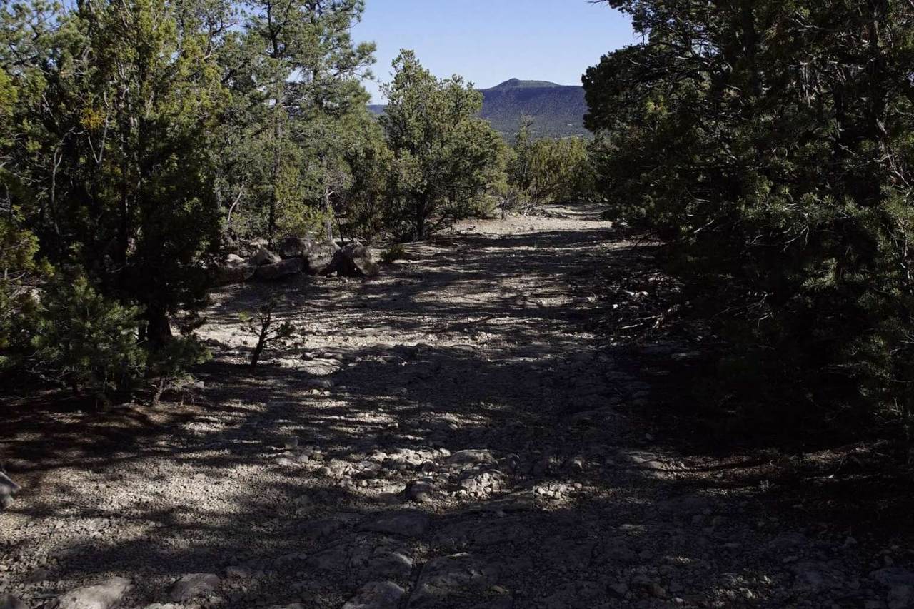 https://bt-photos.global.ssl.fastly.net/santafe/1280_boomver_1_202602943-2.jpg