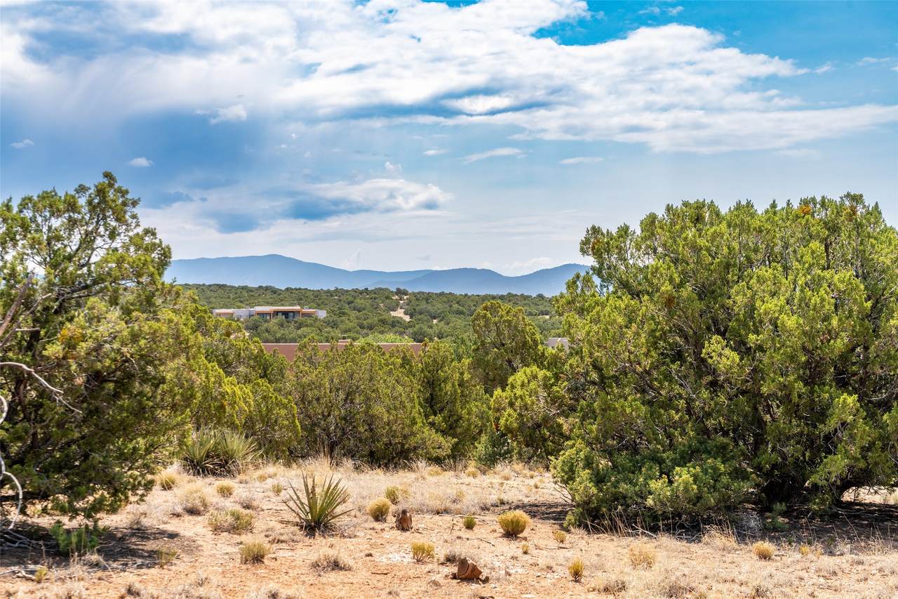 56 Paseo Del Coyote - Photo 1