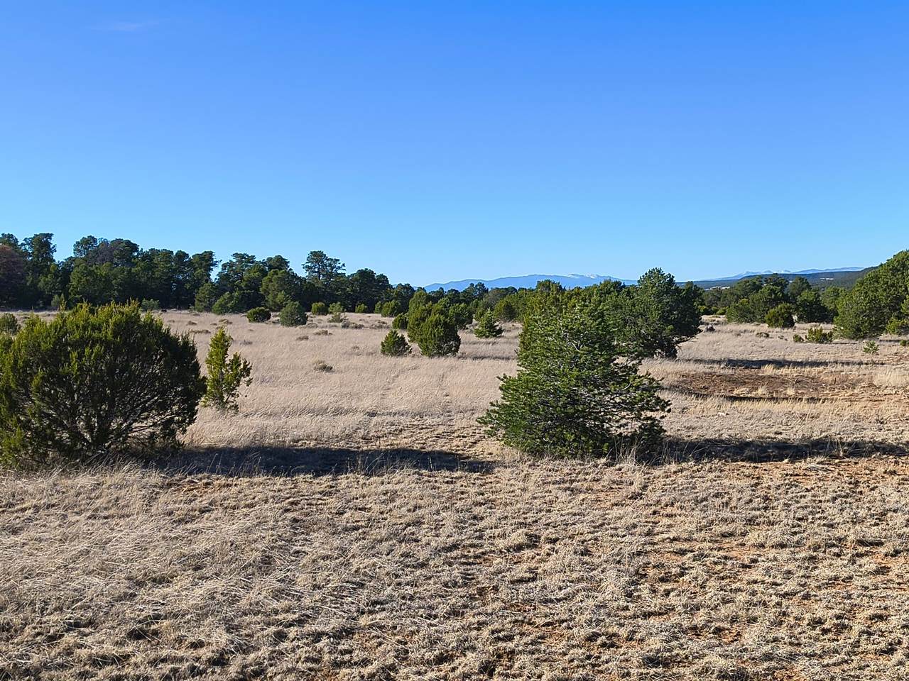 124 Tierra Del Dios Road - Photo 1