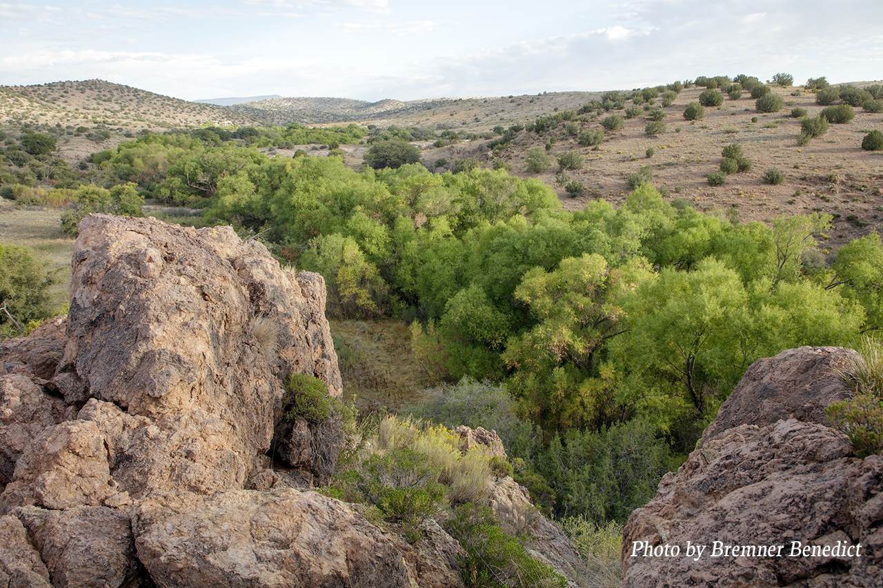 Pitchfork Ranch - Photo 1
