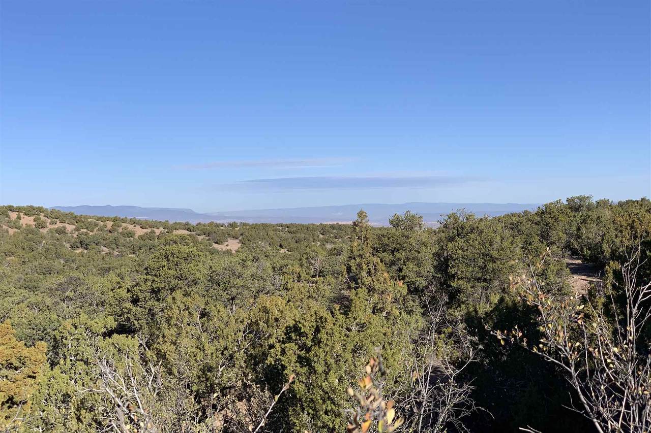 3298 Monte Sereno Drive-Lot 55 - Photo 1
