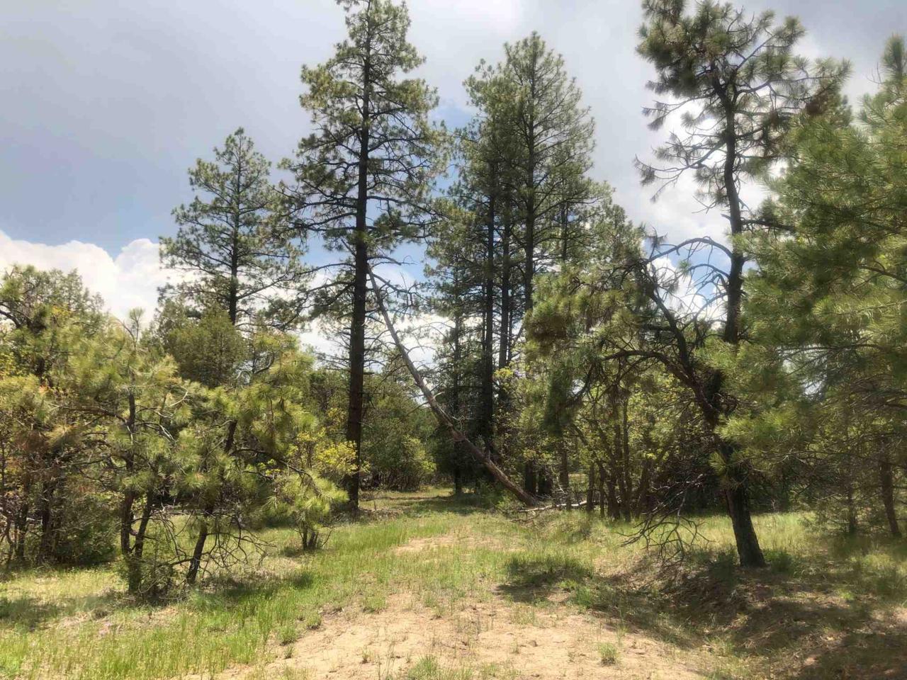 Rim Drive - Photo 1