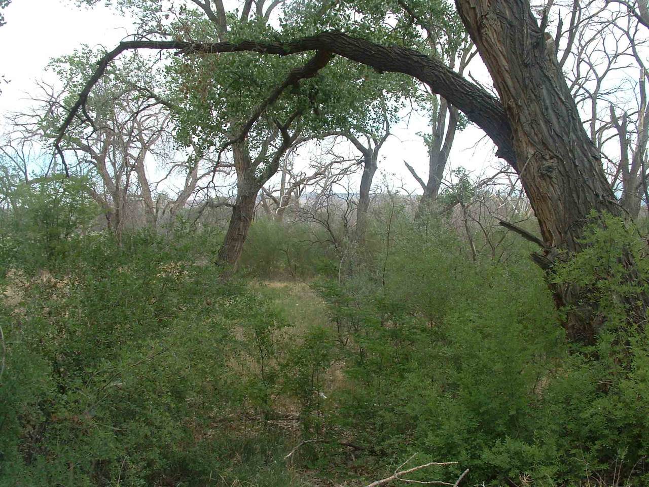Off Prince Drive - Photo 1
