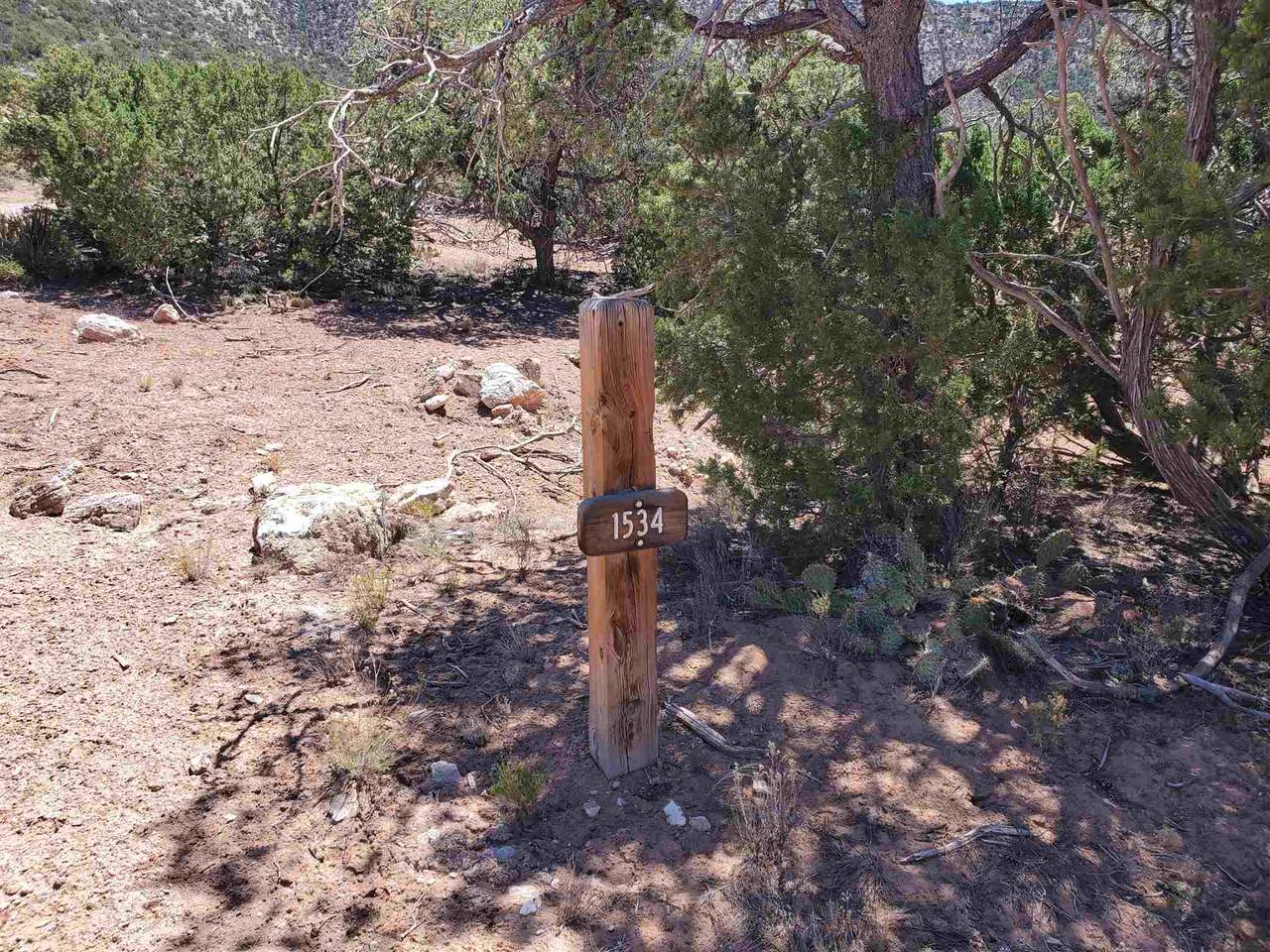 1534 Deer Canyon Trail - Photo 1