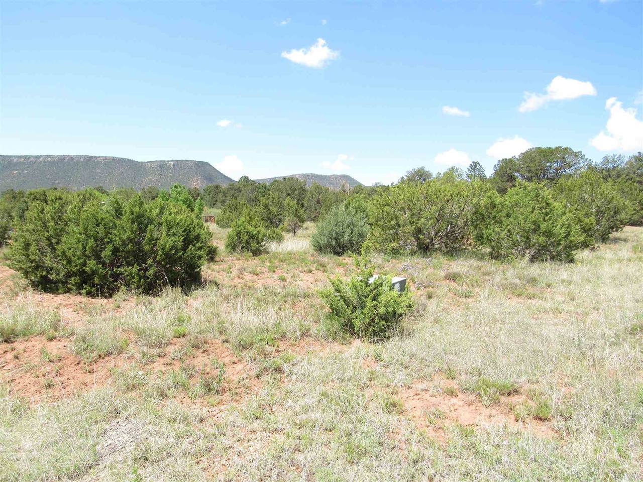 66 Via Getruditas Loop - Photo 1