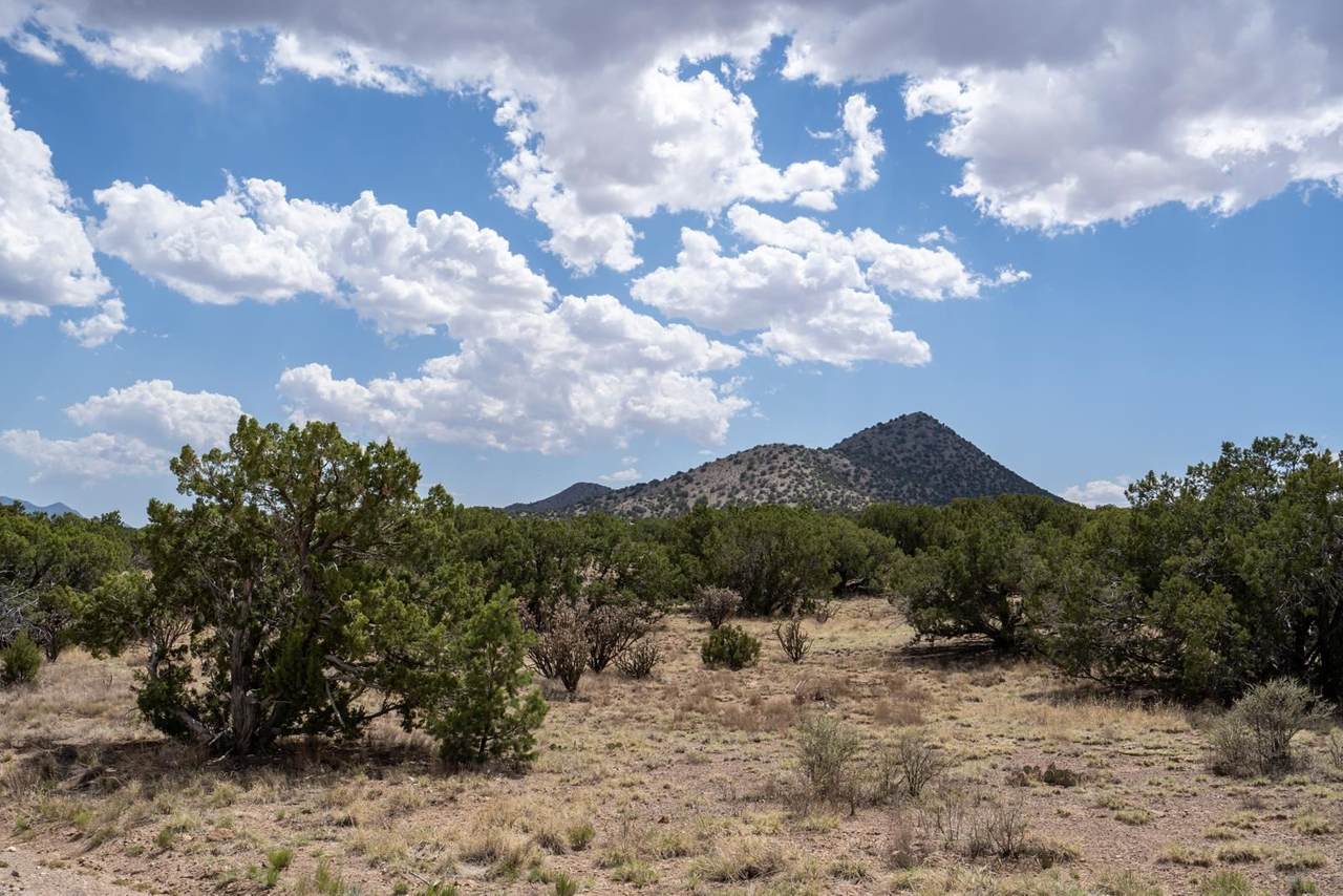 95 Silver Hills - Photo 1