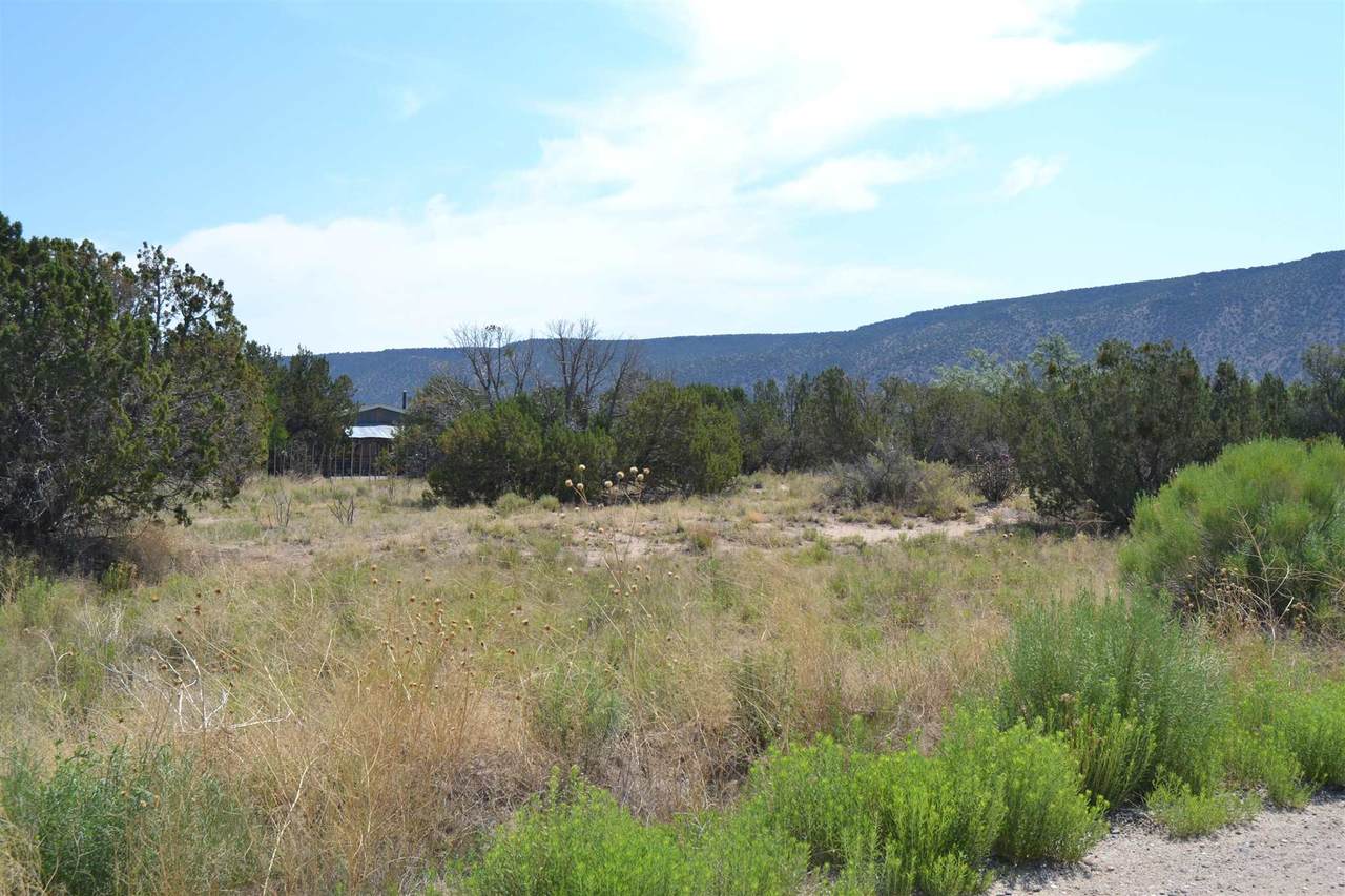 TR D Lot 1B Duende Dr - Photo 1