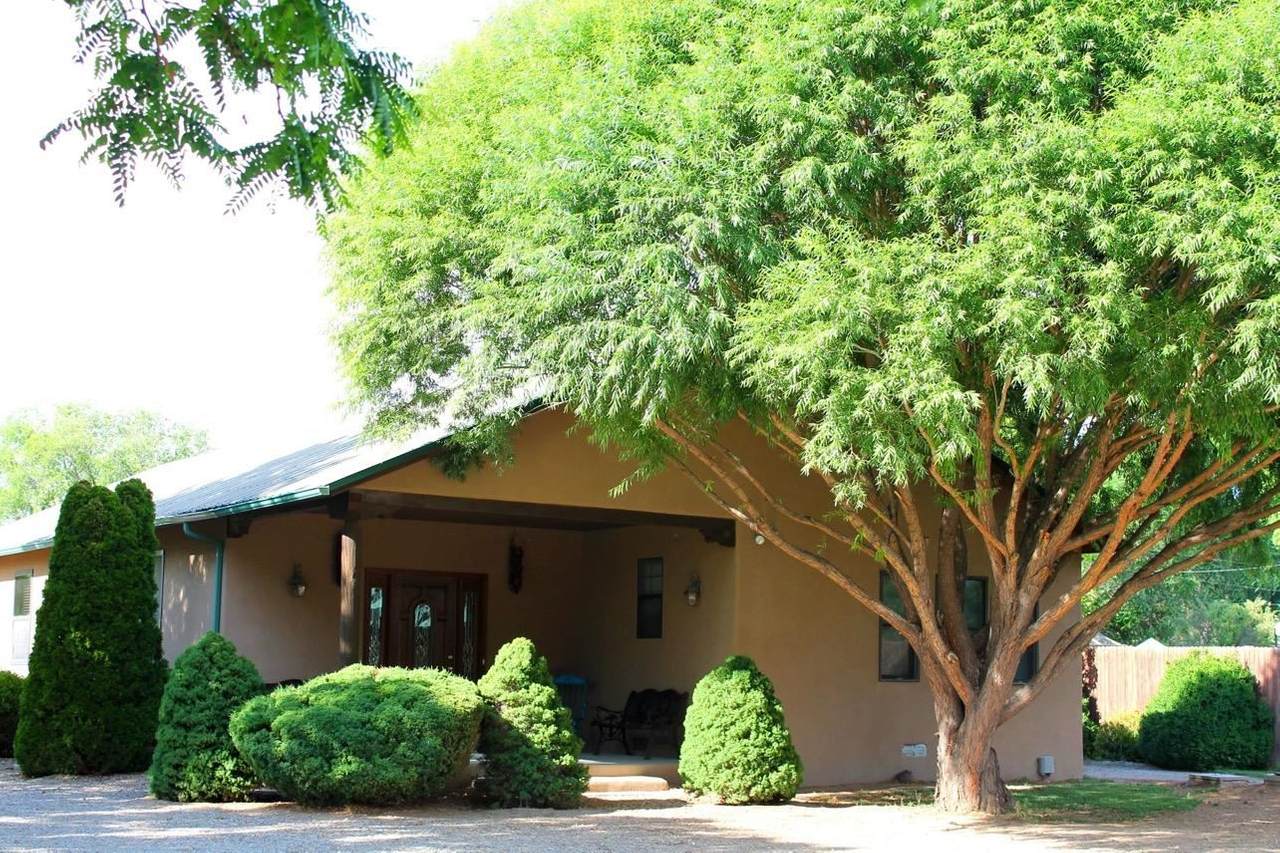 1205 Calle Don Miguel - Photo 1