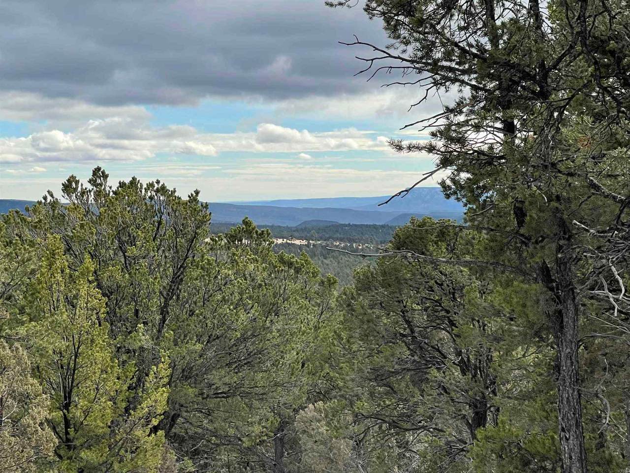 Tract B1 Cr B64 - Photo 1