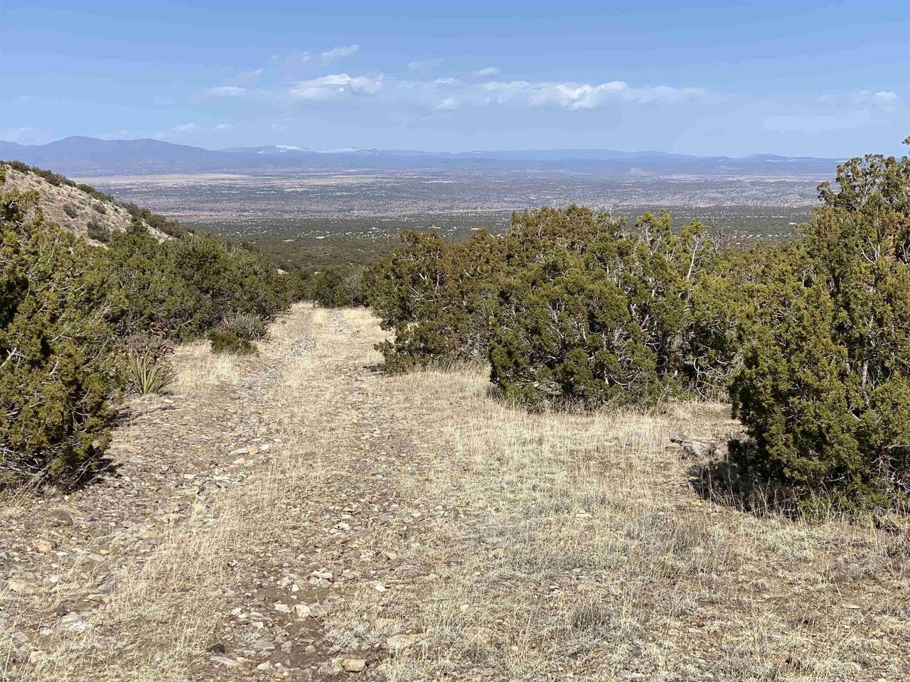 155 Cedar Mountain - Photo 1