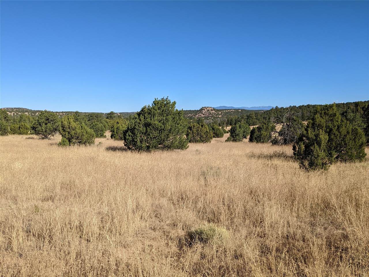 48 Rancho Mesita - Photo 1