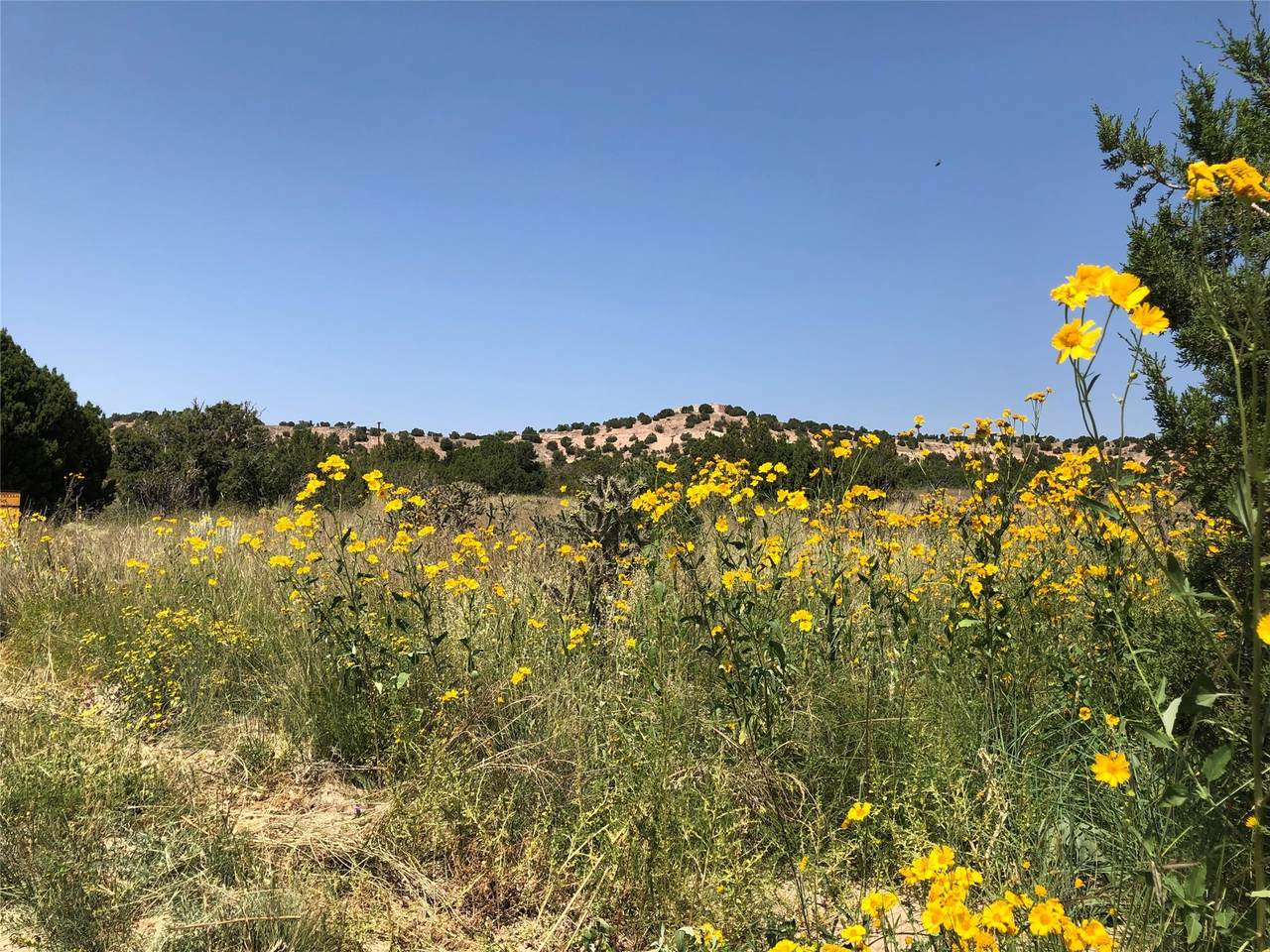 88 Cerro Alto - Photo 1
