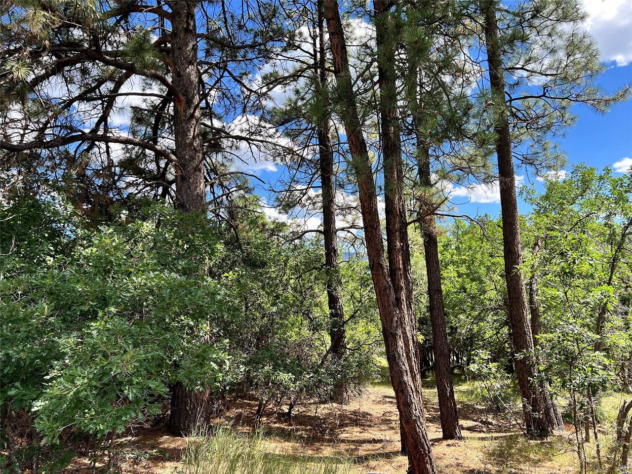 0 Block 2, Lot 15, Brazos Estates - Photo 1