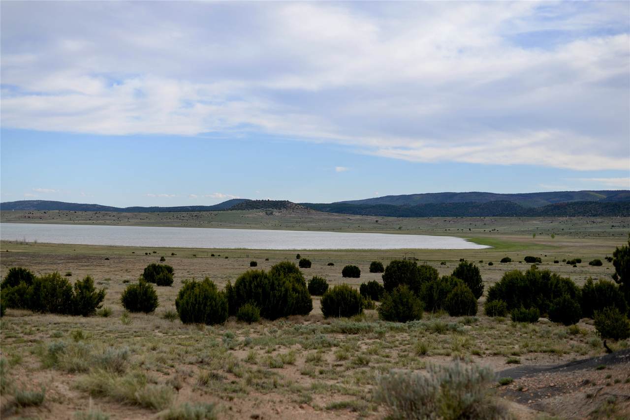 Lot 4 Storrie Lake - Photo 1