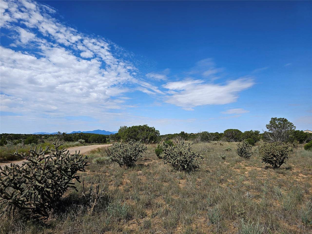 251 Spur Ranch Road - Photo 1