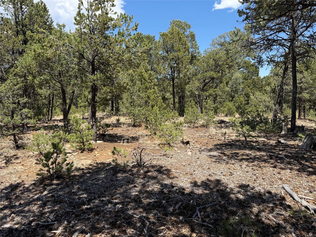 Lot 20 Dancing Hawk Drive - Photo 1