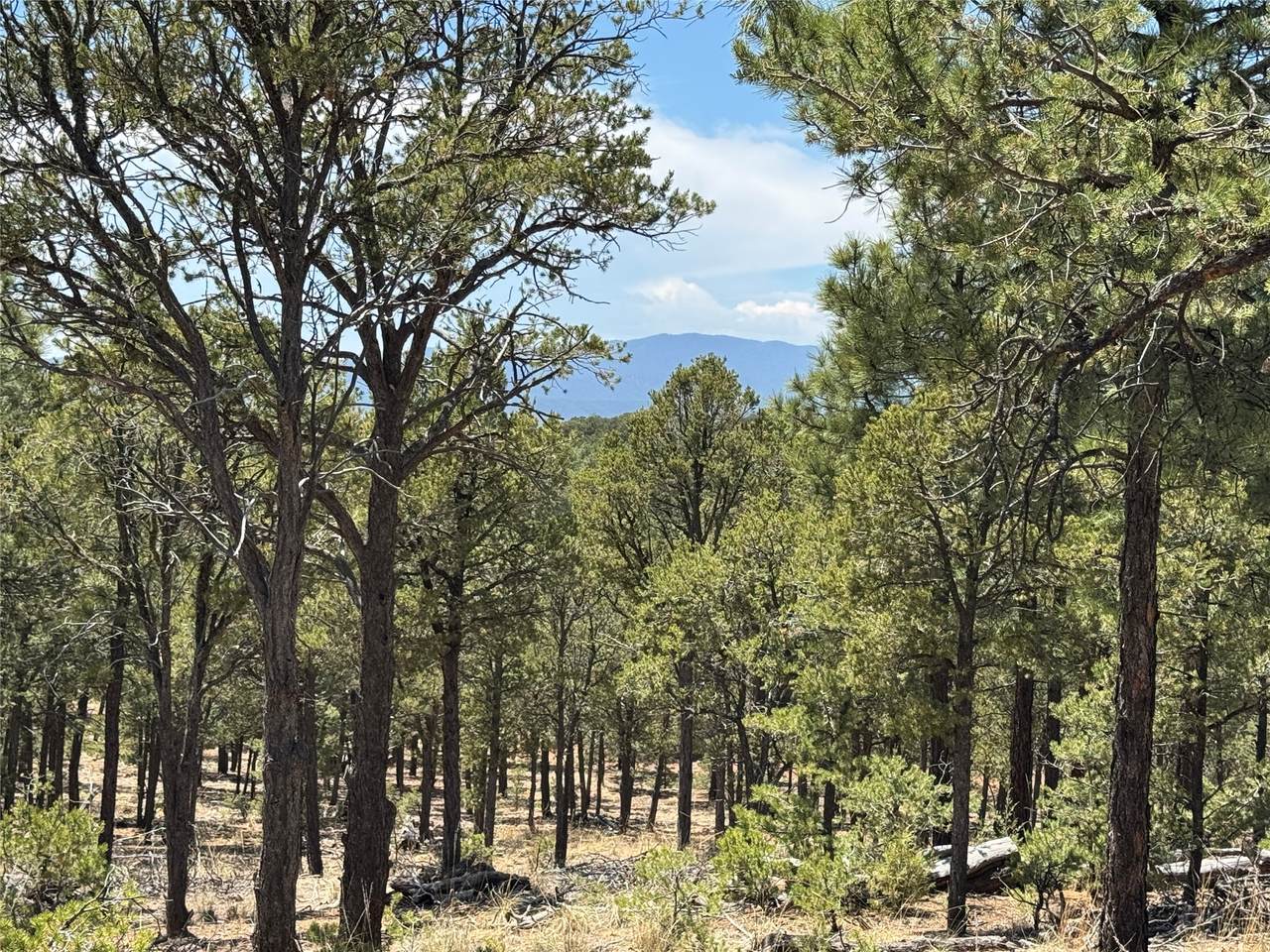 https://bt-photos.global.ssl.fastly.net/santafe/1280_boomver_2_202501752-2.jpg