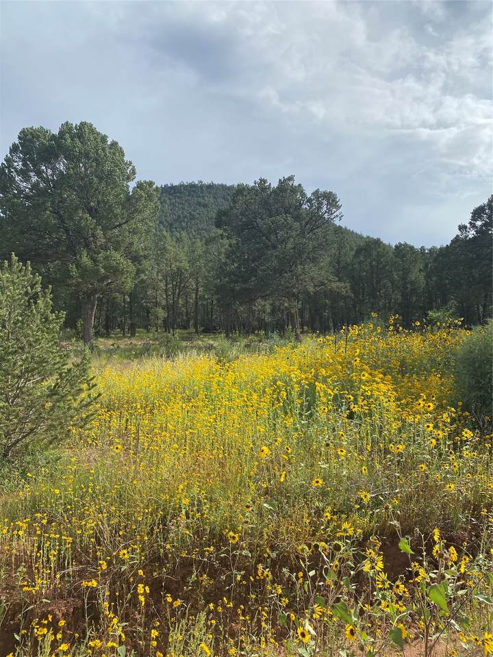 https://bt-photos.global.ssl.fastly.net/santafe/1280_boomver_2_202501950-2.jpg