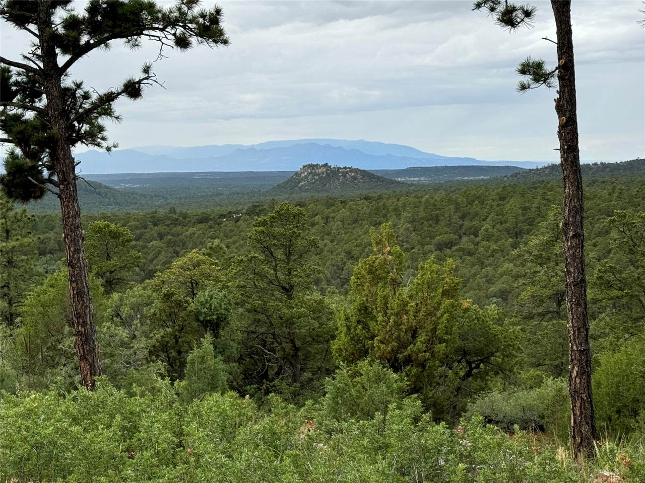 64 (Lot 6A) The Cliffs - Photo 1