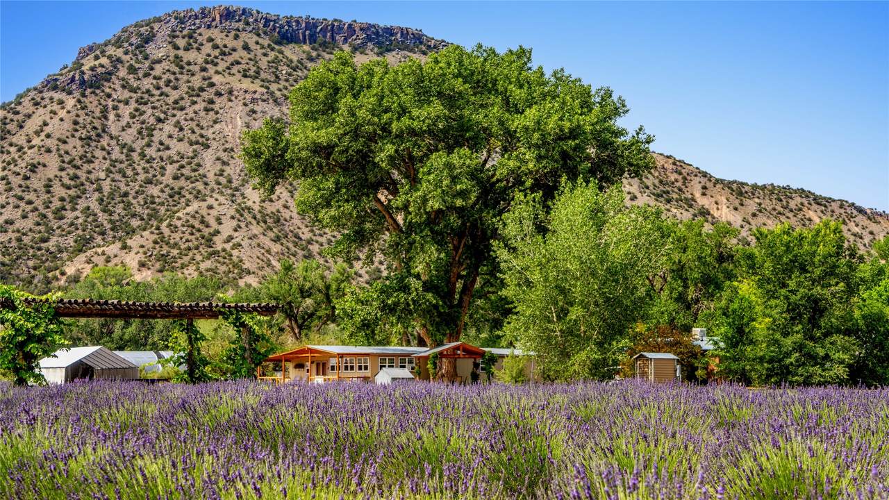 PURPLE ADOBE Lavender Farm #25 Private Dr - Photo 1