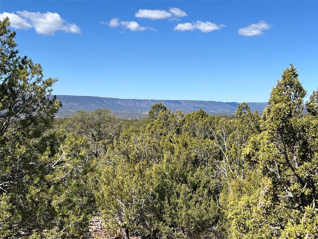 https://bt-photos.global.ssl.fastly.net/santafe/1280_boomver_2_202502974-2.jpg
