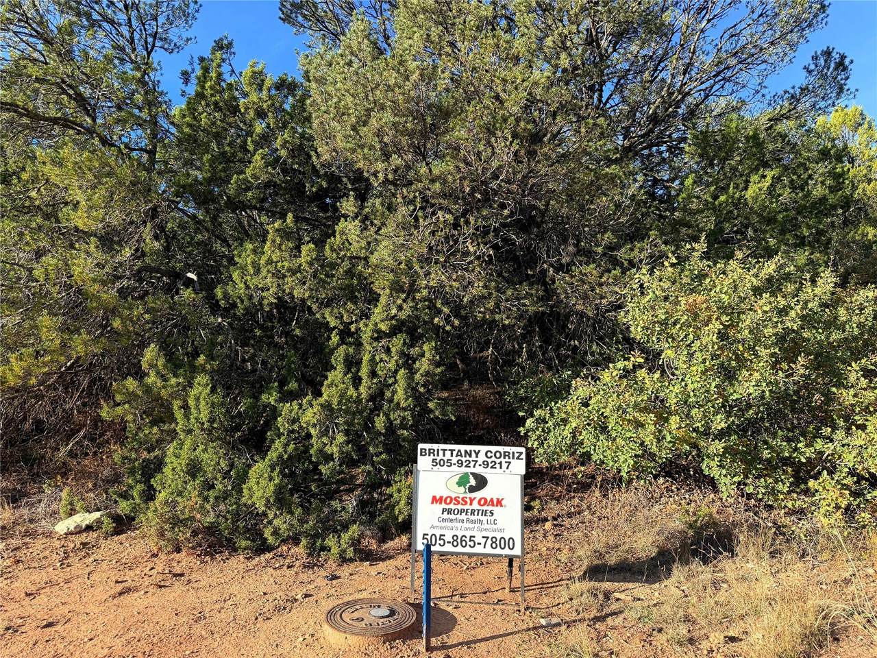 9 Peterson Rd. - Photo 1