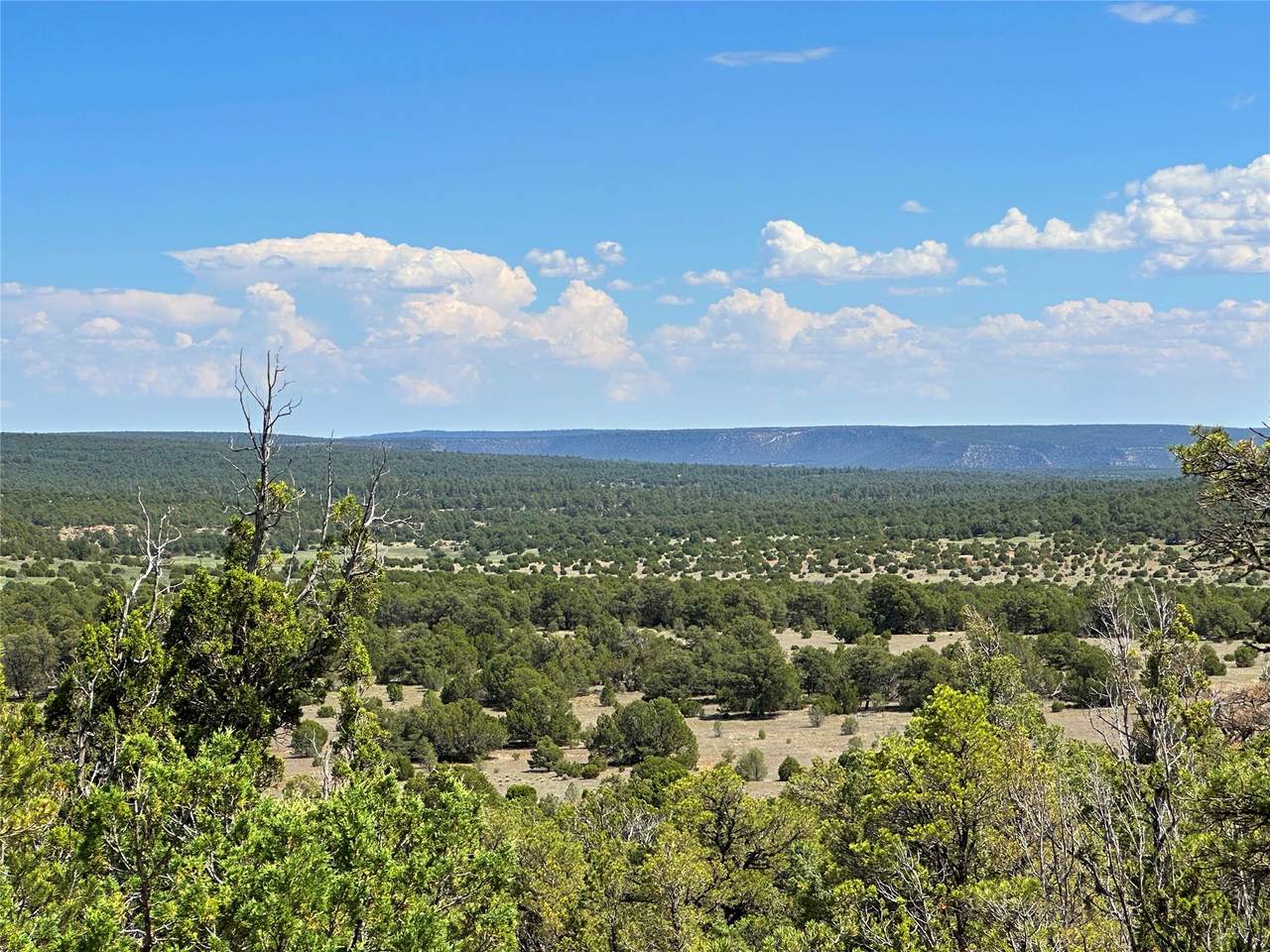 Lot 7 Tierra De Dios - Photo 1