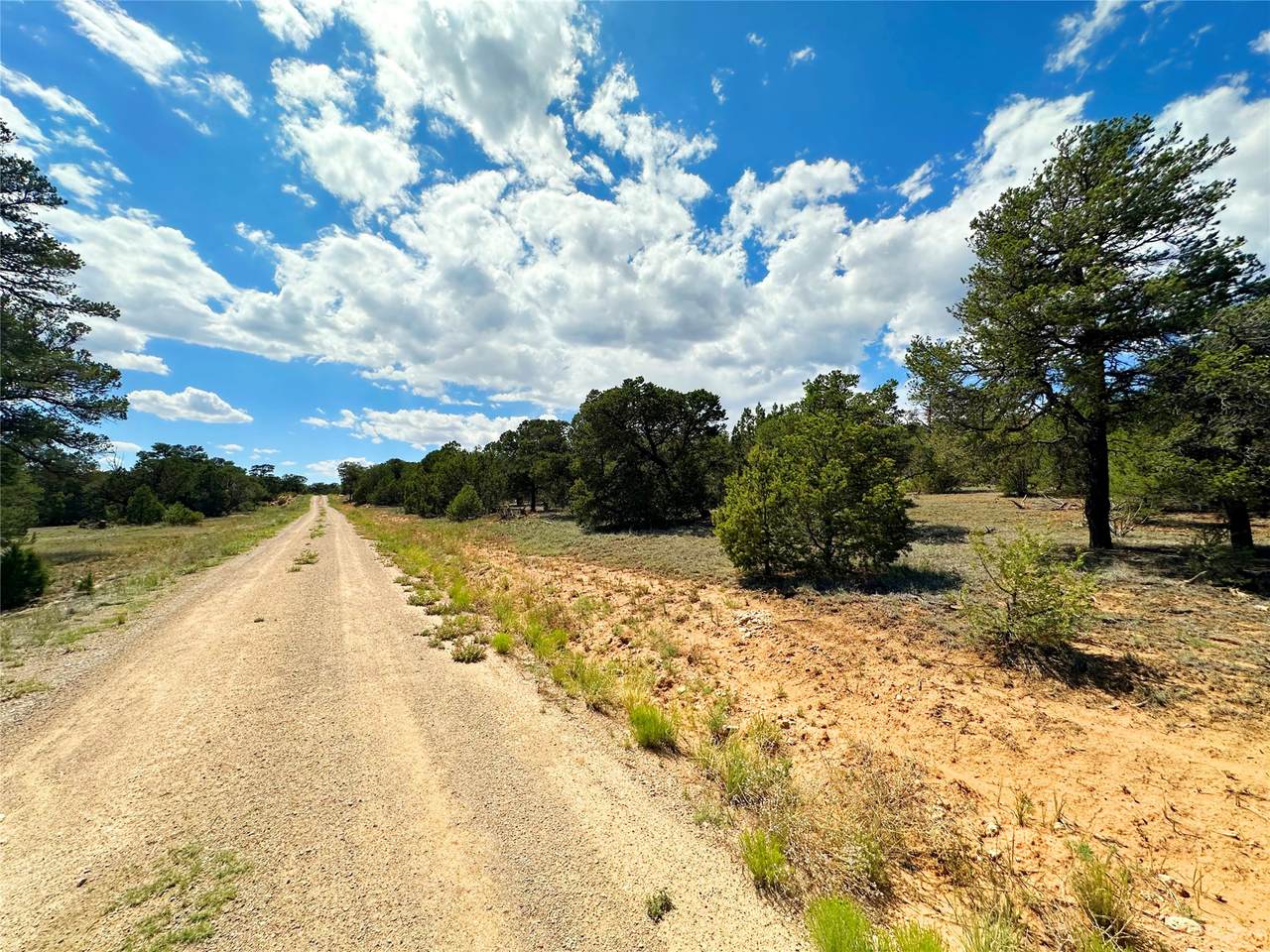 https://bt-photos.global.ssl.fastly.net/santafe/1280_boomver_2_202600252-2.jpg