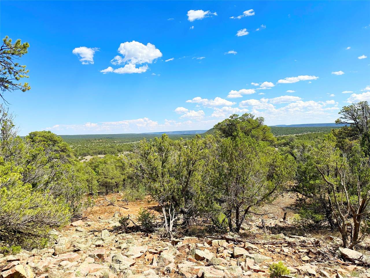 https://bt-photos.global.ssl.fastly.net/santafe/1280_boomver_2_202600252-2.jpg
