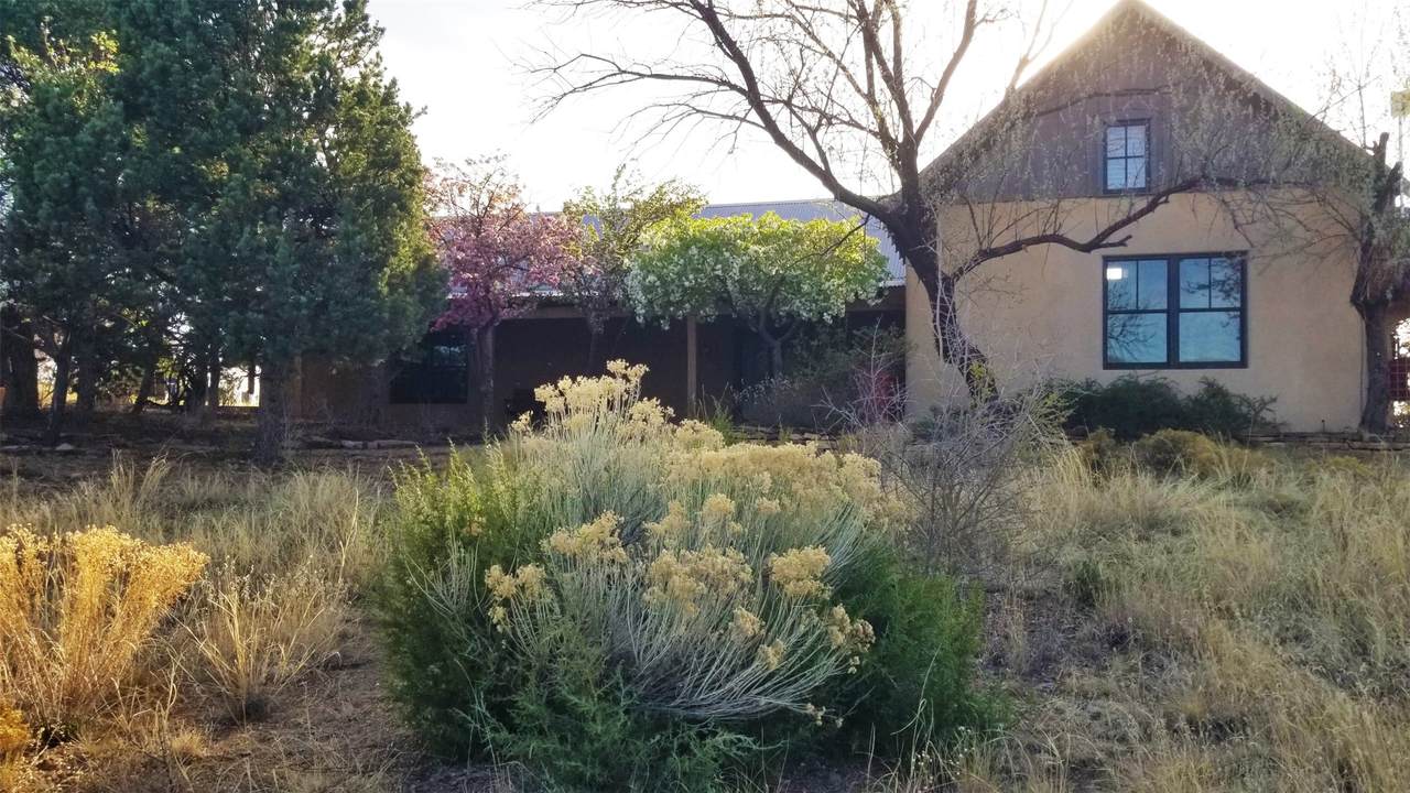 32 Two Horse Trail - Photo 1
