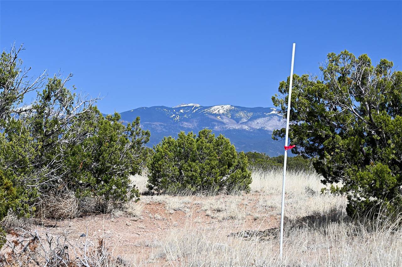 4 Via Aria (Lot 20) - Photo 1