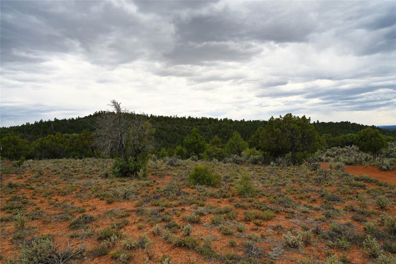 https://bt-photos.global.ssl.fastly.net/santafe/1280_boomver_2_202602705-2.jpg