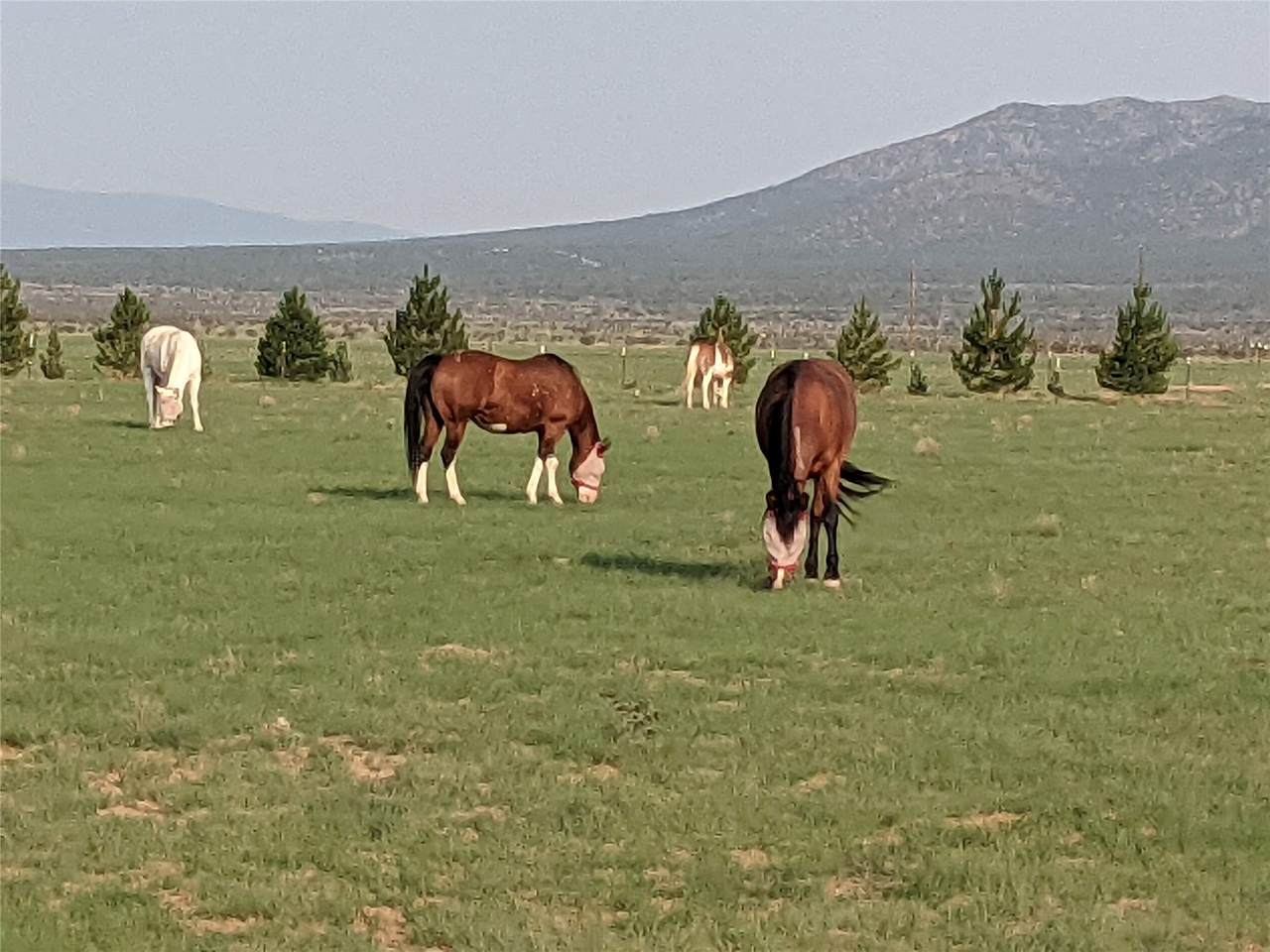 32 County Road 28 - Photo 1