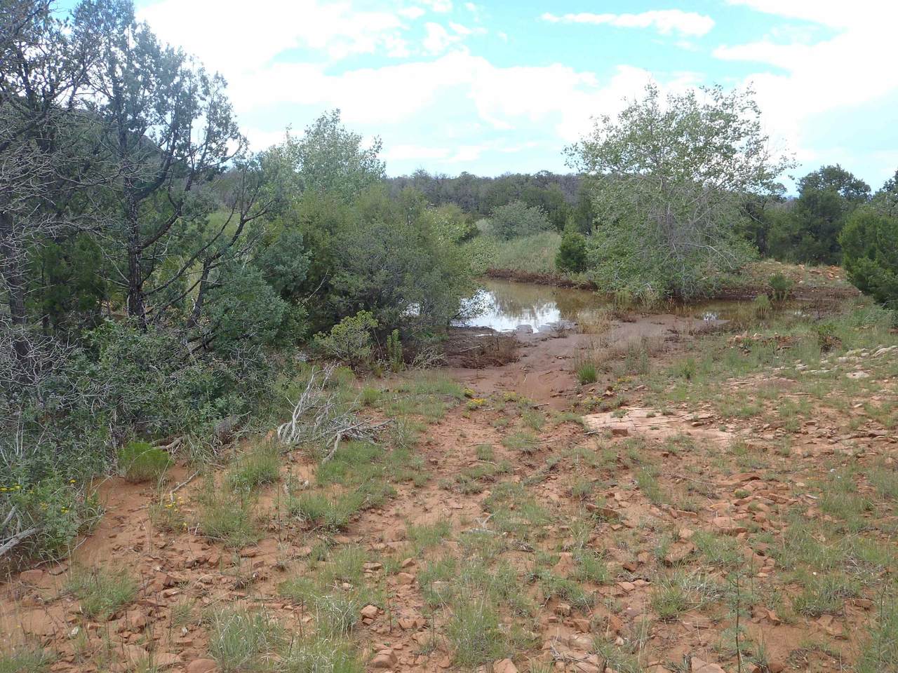 296 County Rd B 26A - Photo 1