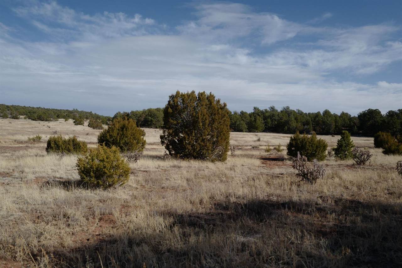 48 Rancho Mesita - Photo 1