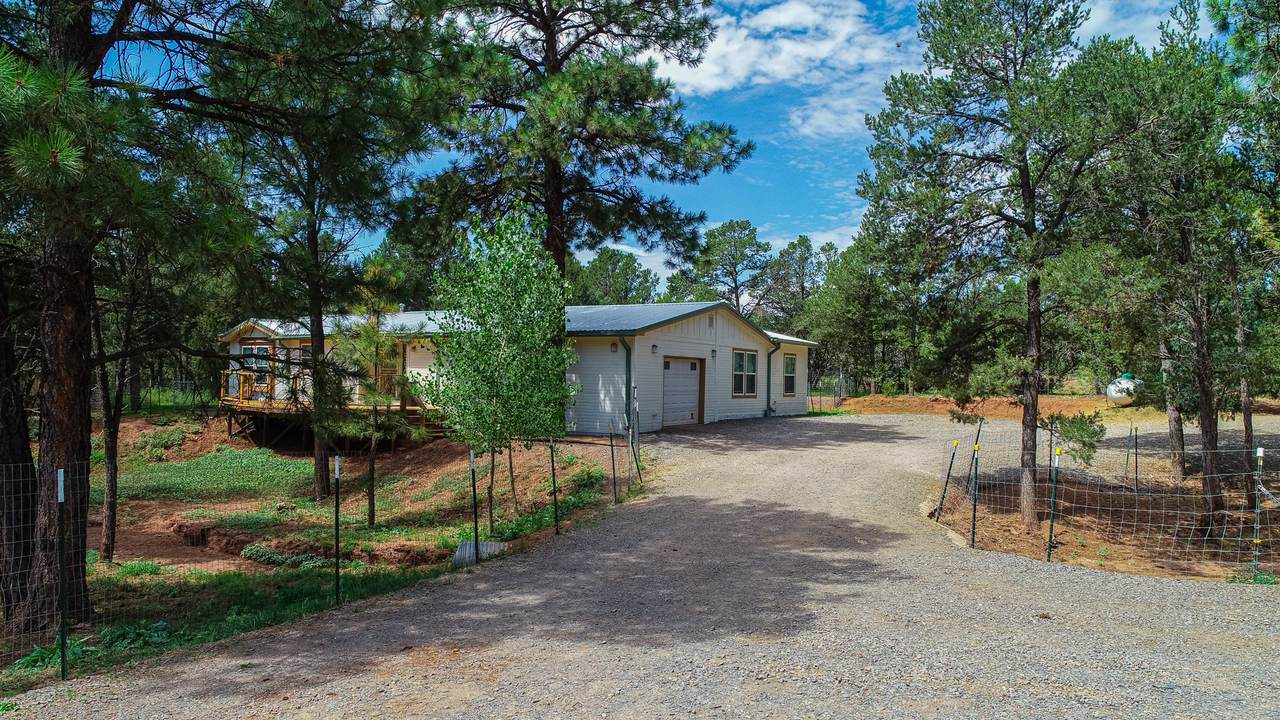 35 Jose Gonzales Road - Photo 1