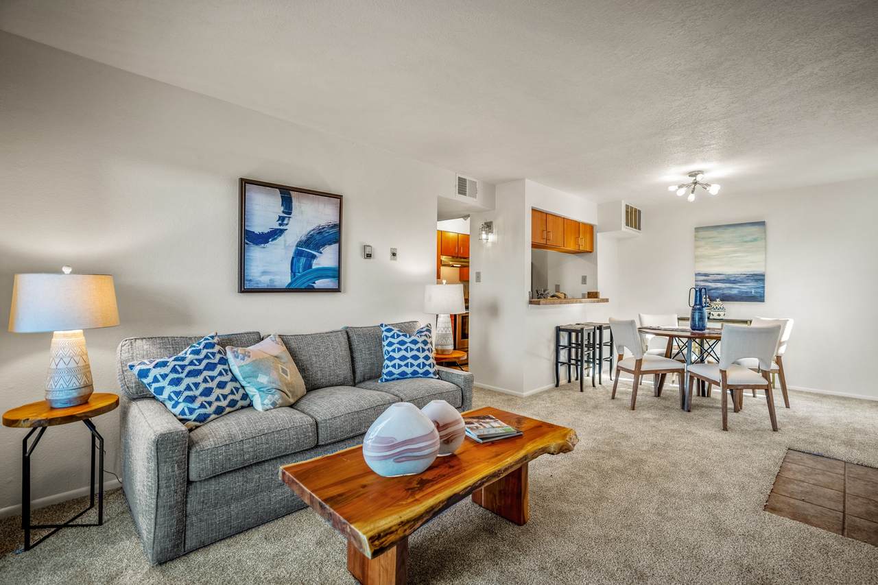 941 Calle Mejia - Photo 1