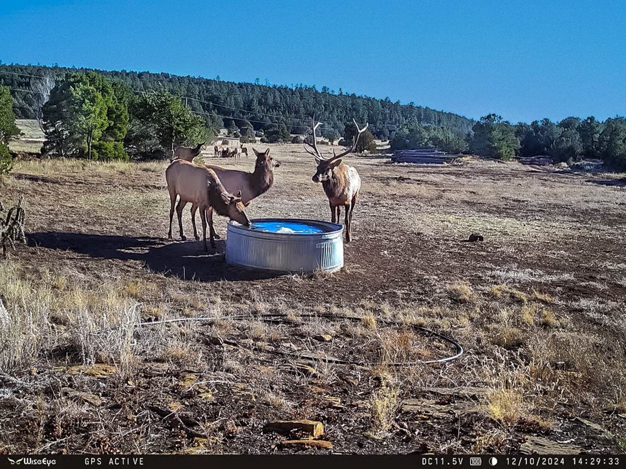 TBD Gabaldon Lane - Photo 1