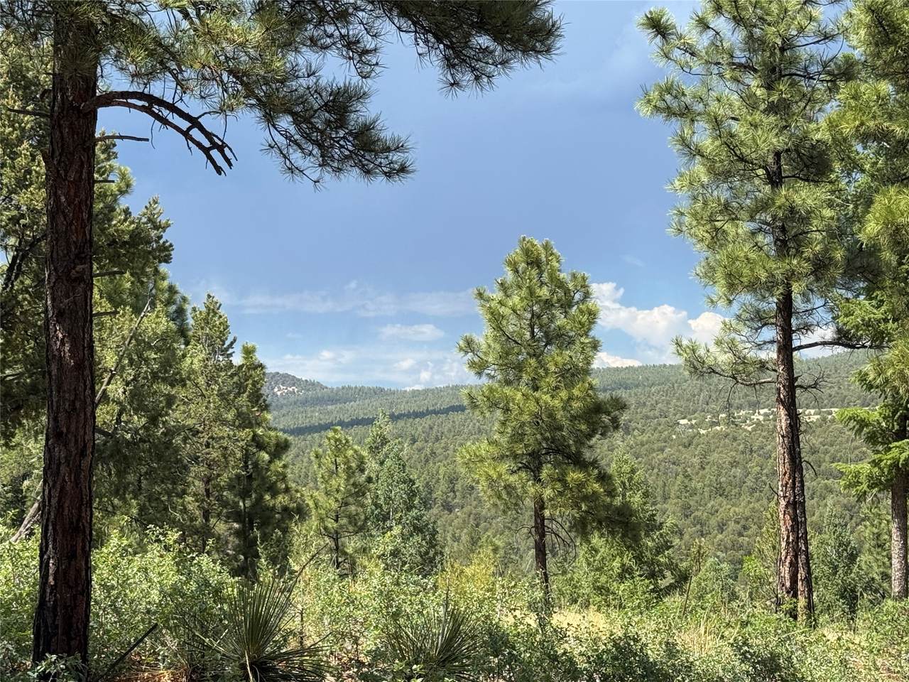 https://bt-photos.global.ssl.fastly.net/santafe/1280_boomver_3_202501918-2.jpg