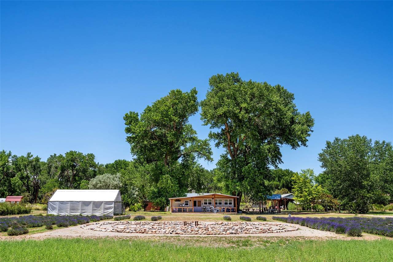 PURPLE ADOBE LAVENDE Farm #25 Private Dr 1622 - Photo 1