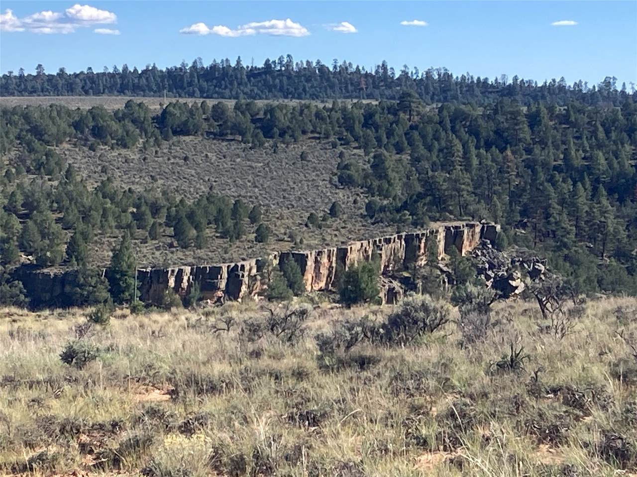 TBD El Vado Lake - Photo 1